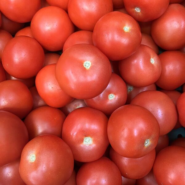 TOMATOES-NZ