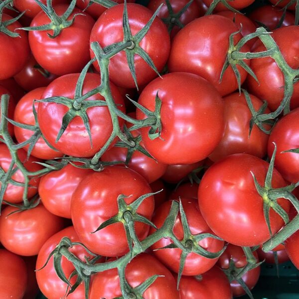 TOMATOES-LARGE TRUSS-NZ