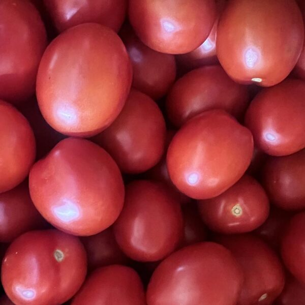 TOMATOES-ROMA-NZ
