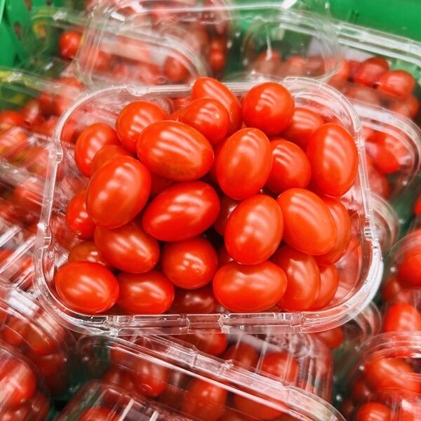 TOMATOES-RED COCKTAIL-NZ