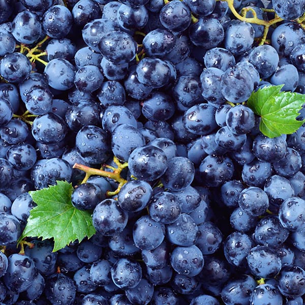 GRAPES-BLACK-AUS/USA/MEX/CHIL