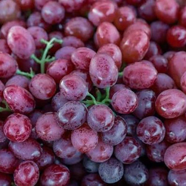 GRAPES-RED-AUS/USA/MEX/CHIL