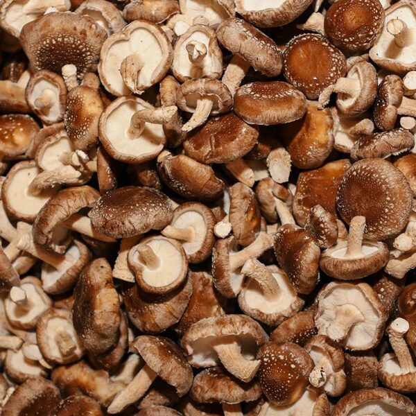 MUSHROOMS-100G SHIITAKE-NZ