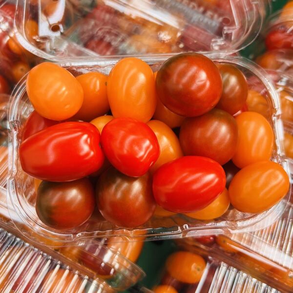 TOMATOES-MIX COCKTAIL-NZ