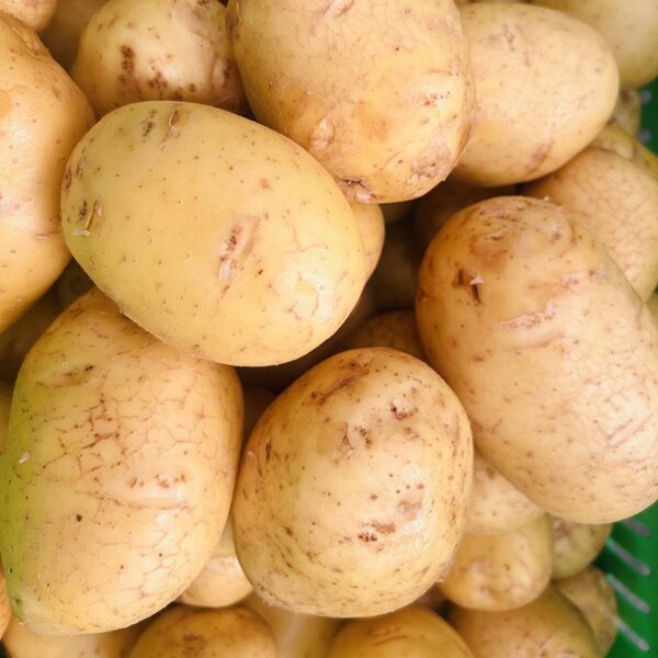 POTATOES-WASHED GOLDEN-NZ
