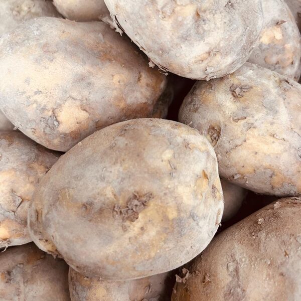 POTATOES-BRUSHED-NZ