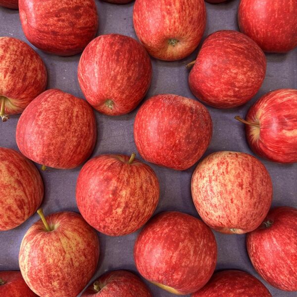 APPLES-BRAEBURN-NZ