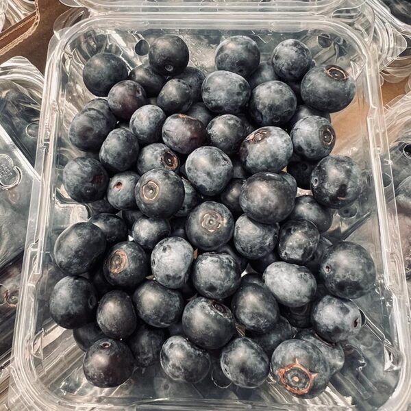 BLUEBERRIES-PUNNET-NZ