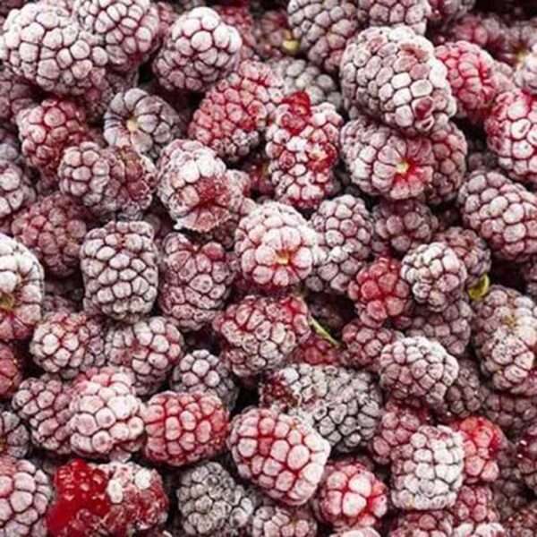 BOYSENBERRIES-1KG FROZEN