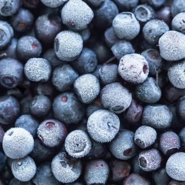 BLUEBERRIES-1KG FROZEN