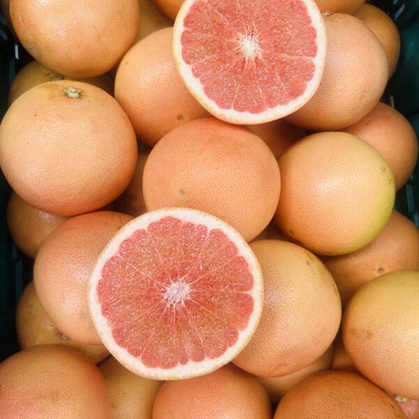 GRAPEFRUIT-RUBY RED-NZ/AUS/USA