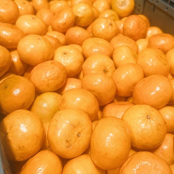 MANDARINS-NZ/AUS/USA