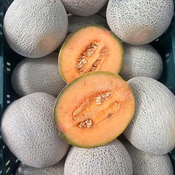 ROCK MELON-NZ/AUST