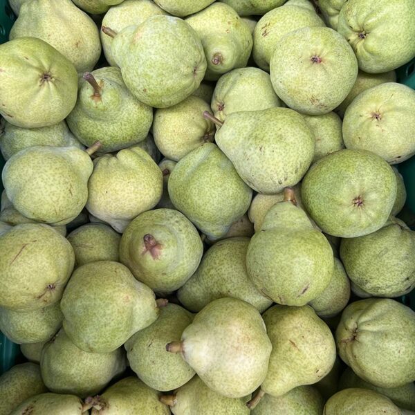 PEARS-PACKHAM-NZ/AU