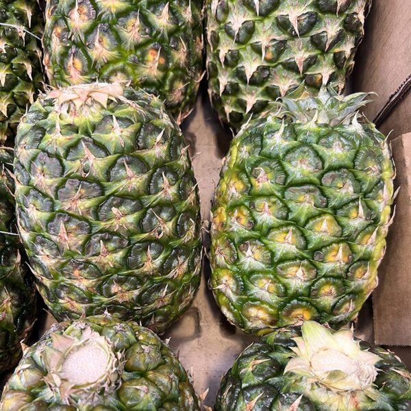 PINEAPPLES-LARGE-PHI