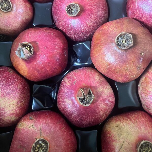 POMEGRANATES-NZ/USA