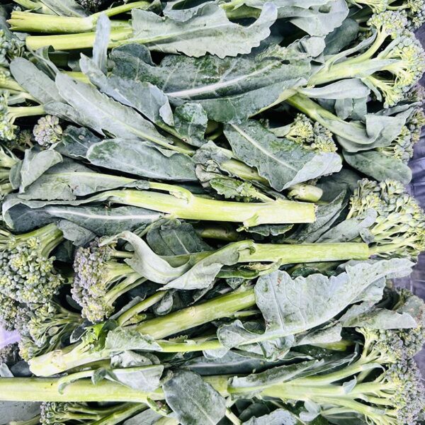 BROCCOLI-PACK BABY-NZ