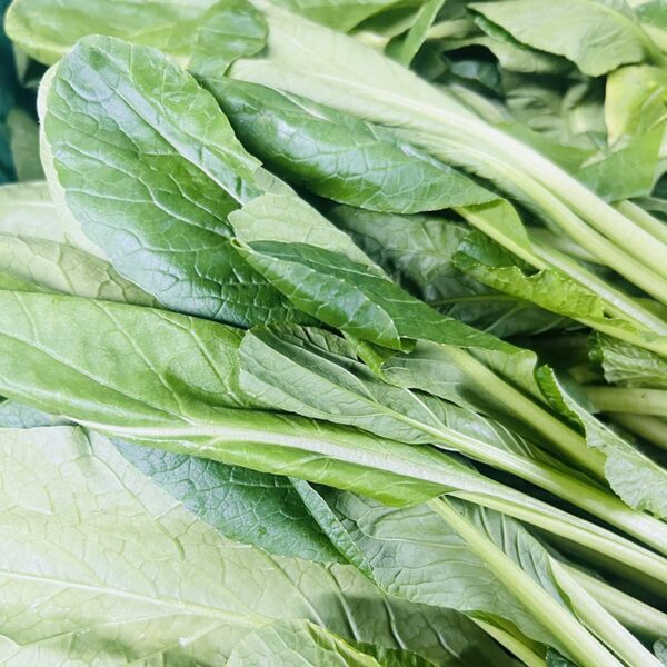 CABBAGE-LOOSE CHOI SUM-NZ