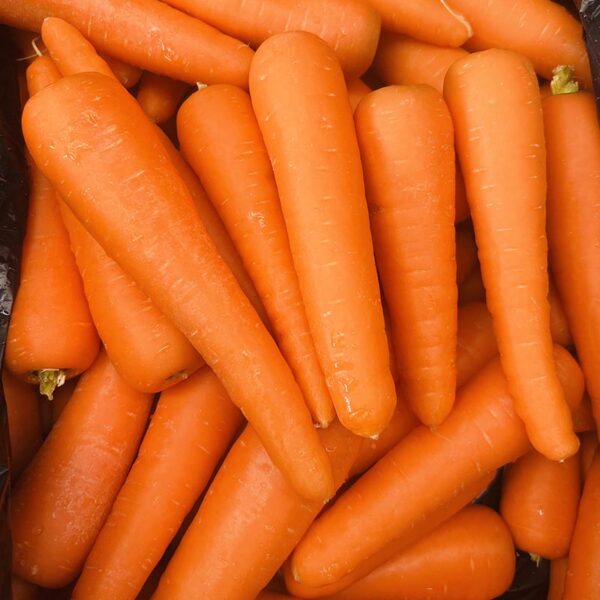 CARROTS-TAG 1-NZ