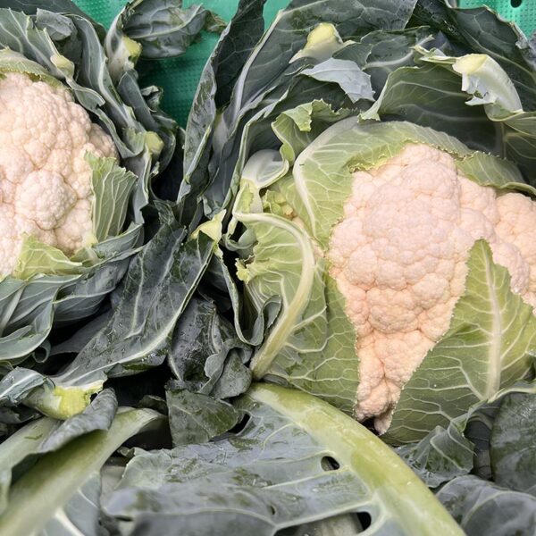 CAULIFLOWER-NZ