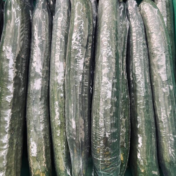 CUCUMBER-TELEGRAPH-NZ