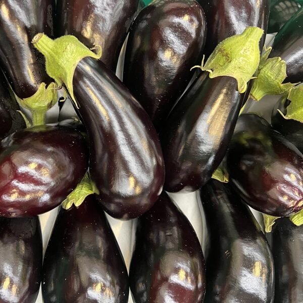 EGGPLANT-NZ
