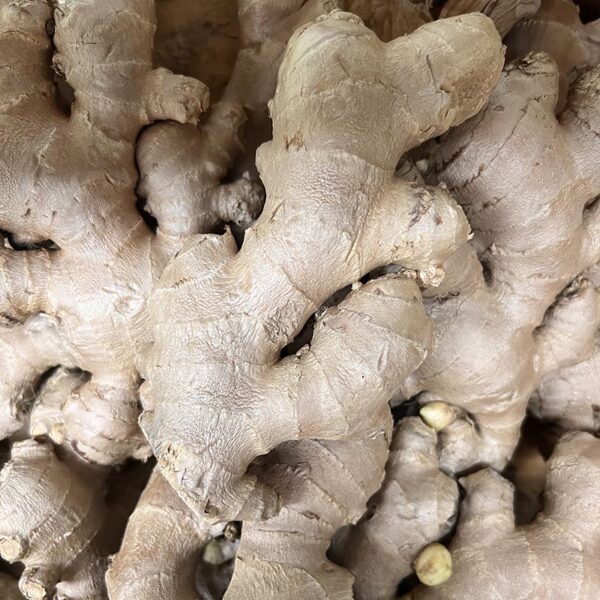 GINGER-THAI/CHI