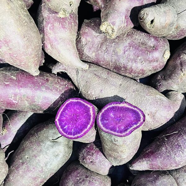KUMARA-PURPLE DAWN-NZ