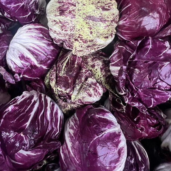 LETTUCE-RADICCHIO-NZ