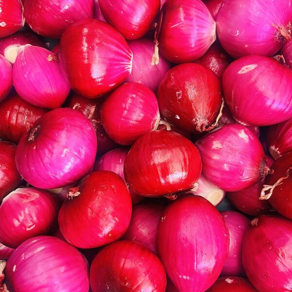 ONIONS-RED PEELED-NZ/CH/USA