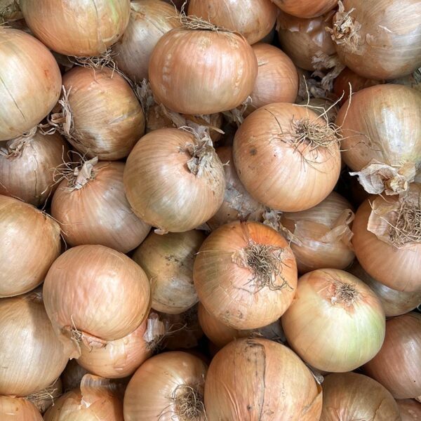 ONIONS-NZ