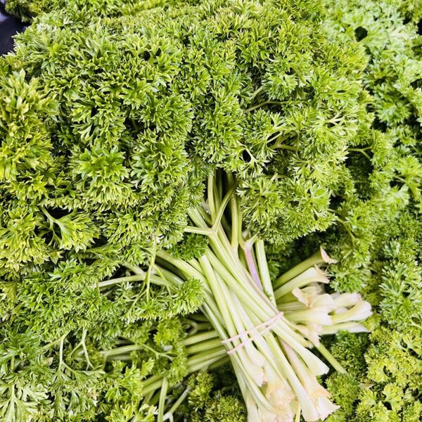 PARSLEY-LARGE BUNCH-NZ