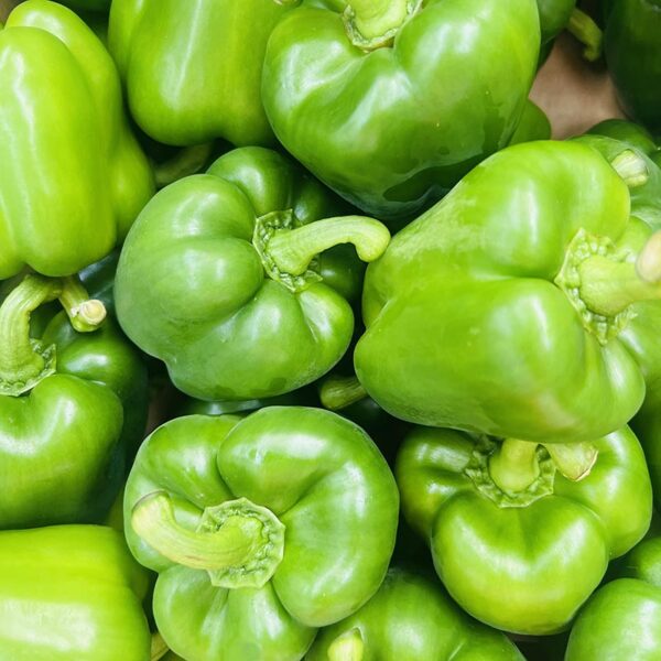 PEPPERS-TAG 1 GREEN-NZ/AUS