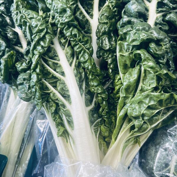 SILVERBEET-PACK-NZ