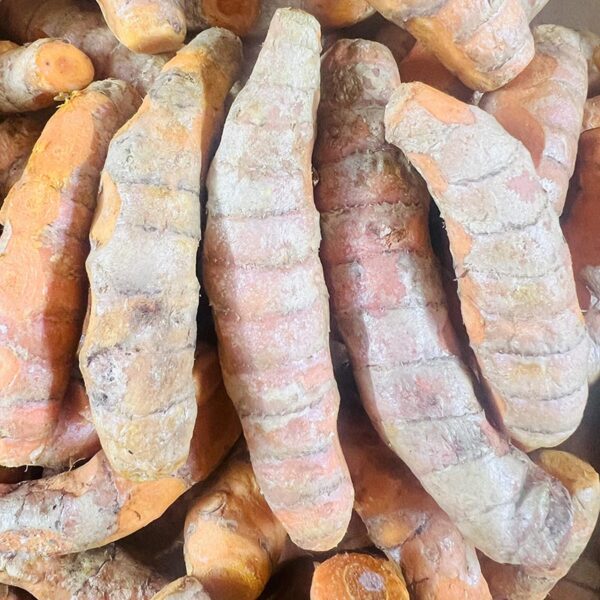 TURMERIC-ROOT-FIJI
