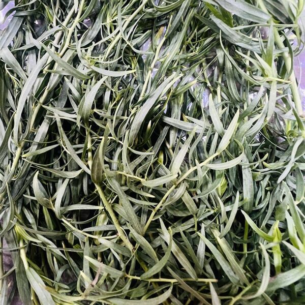 HERB-100G TARRAGON PREMIUM-NZ