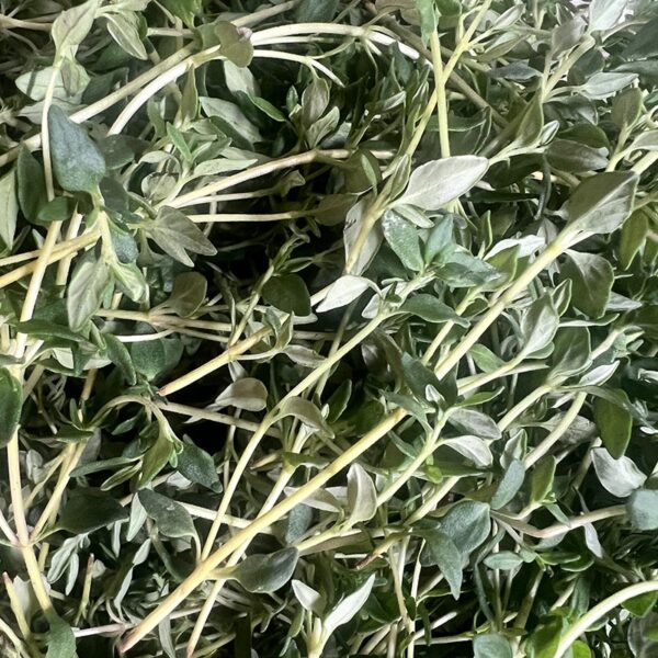 HERB-100G THYME-NZ