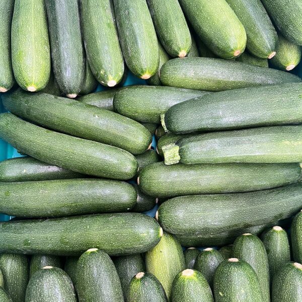 COURGETTES-TAG 1-NZ/AUS