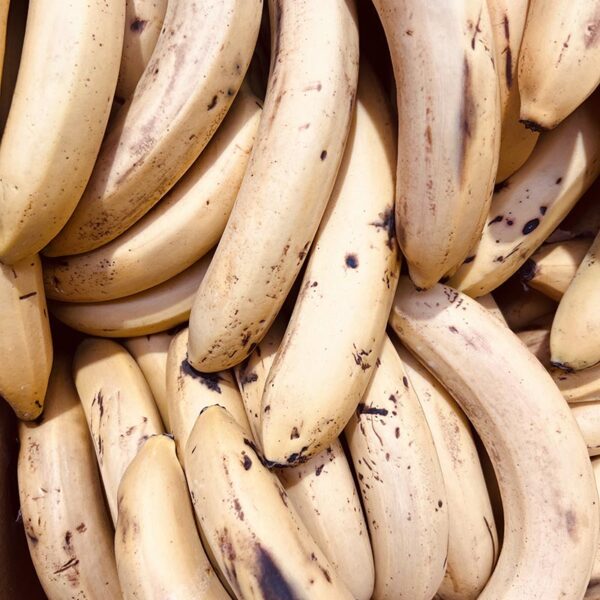 BANANAS-BAKING-ECU/PAN/PHI/MEX