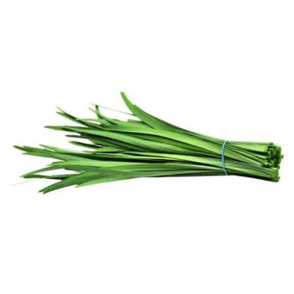 PANDAN LEAVES-FROZEN