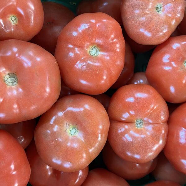 TOMATOES-BEEFSTEAK-NZ