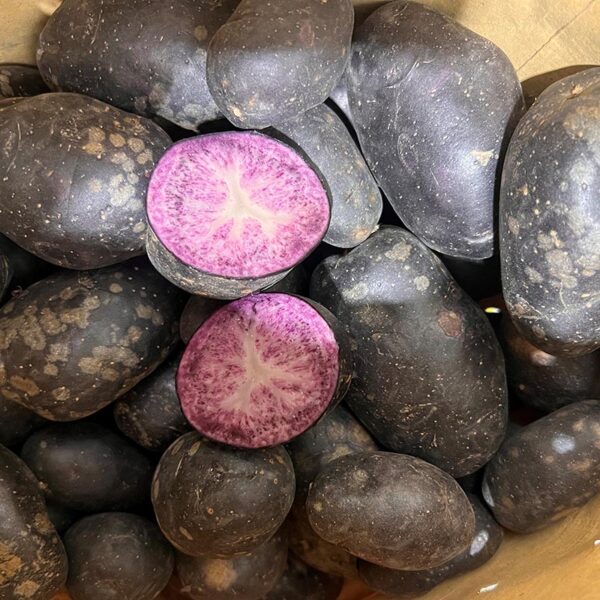 POTATOES-PURPLE HEART-NZ