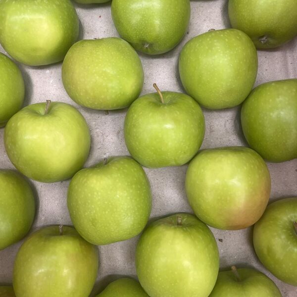 APPLES-GRANNY SMITH-NZ