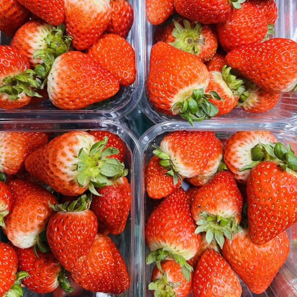 STRAWBERRIES-PACK-AUS