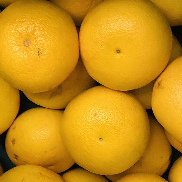 GRAPEFRUIT-YELLOW-NZ