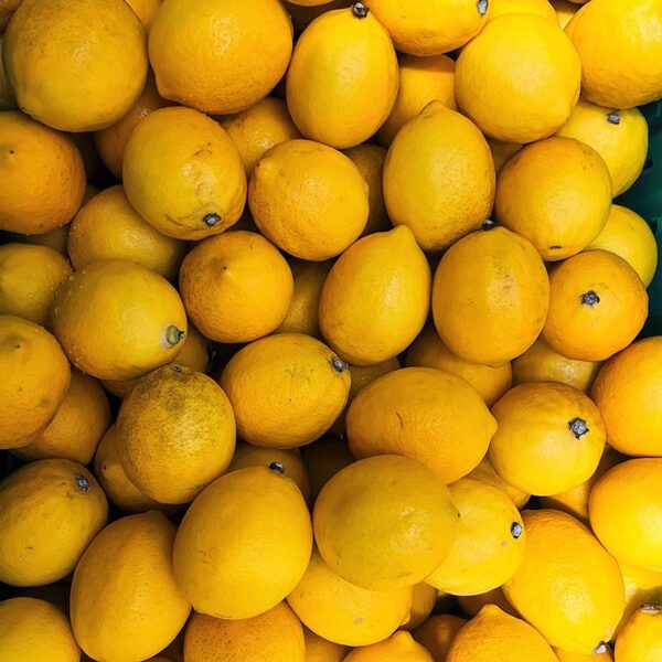 LEMONS-TAG 2-NZ/AUS/USA