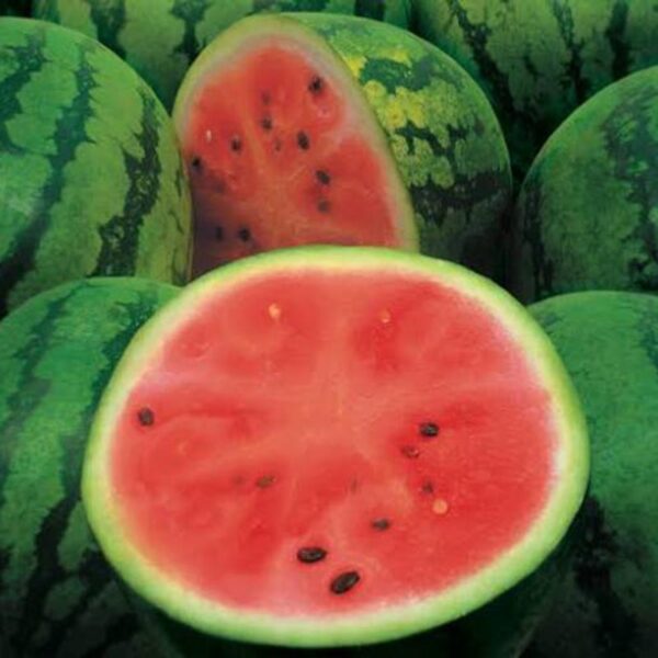 WATERMELON-NZ/TONG/AUST