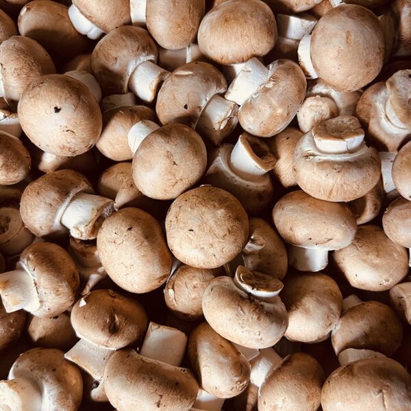 MUSHROOMS-BROWN BUTTON-NZ