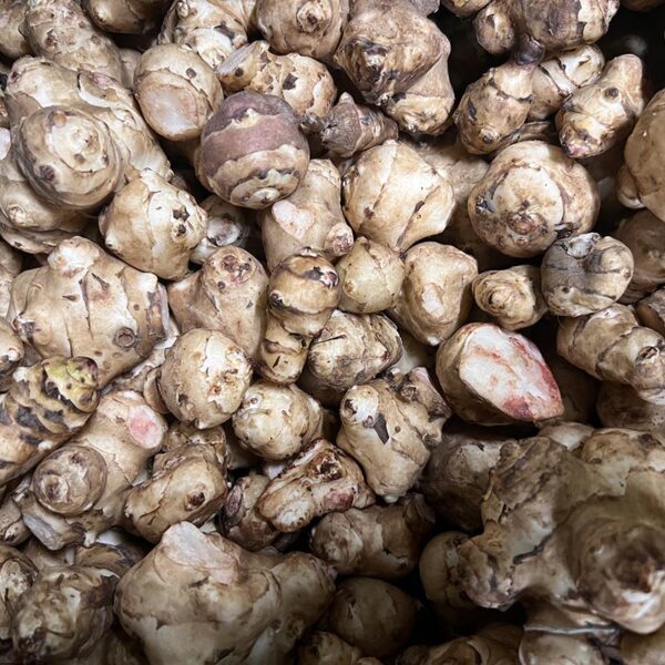 ARTICHOKES-JERUSALEM-NZ
