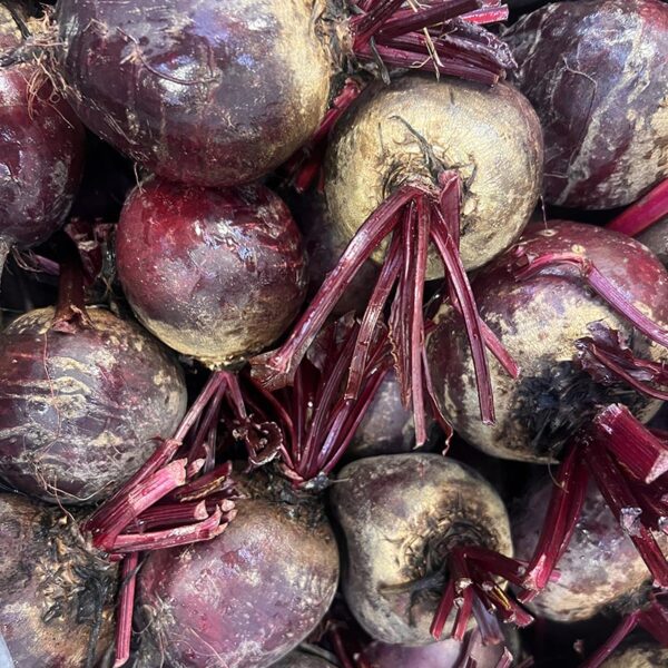 BEETROOT-MEDIUM RED-NZ
